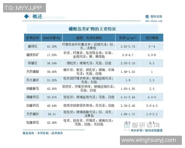 深入解析足球比分背后的数据与趋势助你精准预测比赛结果